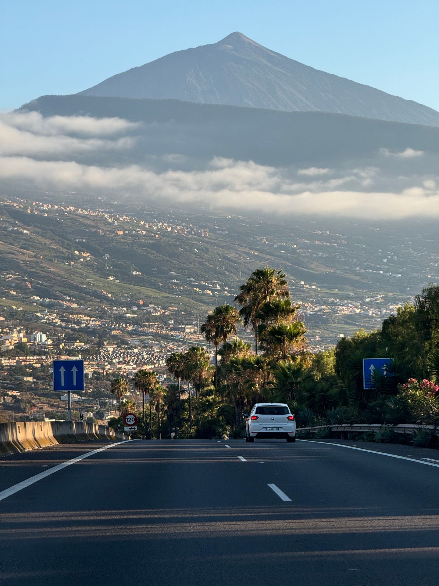Up to Teide