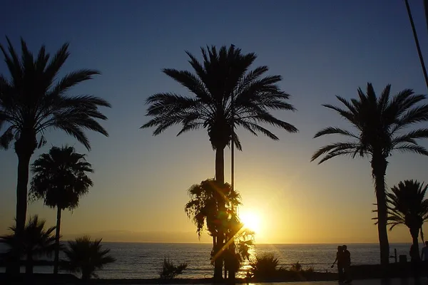 Playa de las Américas at sunset